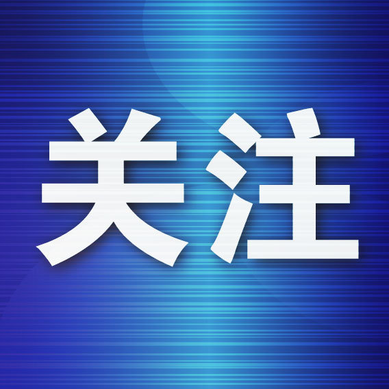 股票配资行业门户网站 大连特色主题公交惊艳亮相